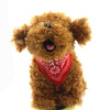 FREE Pet Dog Bandana - Just Pay Shipping