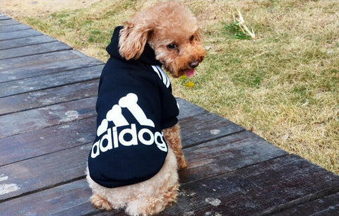 Pet Dog Hoodie Sweatshirt Clothes - Free Shipping