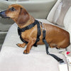 Dog Pet Car Safety Seat Belt