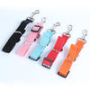 Free Dog Pet Car Safety Seat Belt - Just Pay Shipping