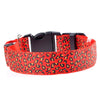 LED Leopard Dog Collar