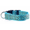 LED Leopard Dog Collar