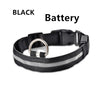 Luminous Safety Pet LED Collar