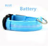 Luminous Safety Pet LED Collar