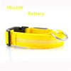 Luminous Safety Pet LED Collar