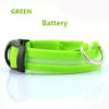 Luminous Safety Pet LED Collar
