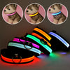 Luminous Safety Pet LED Collar