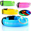 Luminous Safety Pet LED Collar