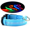 Luminous Safety Pet LED Collar