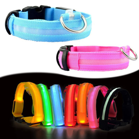 FREE LED Nylon Pet Dog Collar Night Safety Glow - Just Pay Shipping