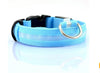 FREE LED Nylon Pet Dog Collar Night Safety Glow - Just Pay Shipping