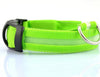 FREE LED Nylon Pet Dog Collar Night Safety Glow - Just Pay Shipping