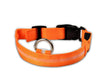 FREE LED Nylon Pet Dog Collar Night Safety Glow - Just Pay Shipping