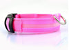 FREE LED Nylon Pet Dog Collar Night Safety Glow - Just Pay Shipping