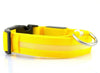 FREE LED Nylon Pet Dog Collar Night Safety Glow - Just Pay Shipping